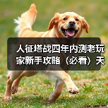 人征塔战四年内测老玩家新手攻略（必看）天赋技能选择篇（图3）