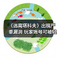 《逃离塔科夫》出现严重漏洞 玩家账号可被轻易入侵（图4）