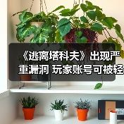 《逃离塔科夫》出现严重漏洞 玩家账号可被轻易入侵（图1）