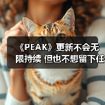 《PEAK》更新不会无限持续 但也不想留下任何遗憾（图1）
