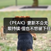 《PEAK》更新不会无限持续 但也不想留下任何遗憾（图3）