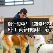 倒计时中！《寂静岭2RE》厂商新作爆料：新商标泄露（图3）