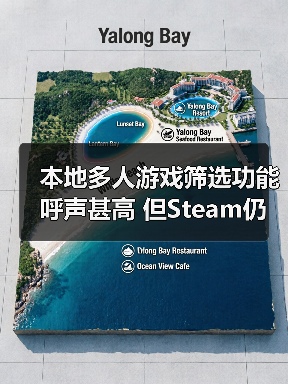 本地多人游戏筛选功能呼声甚高 但Steam仍未有意添加（图1）