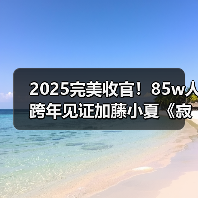 2025完美收官！85w人跨年见证加藤小夏《寂静岭f》通关（图3）