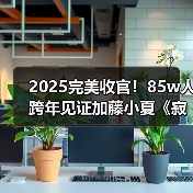 2025完美收官！85w人跨年见证加藤小夏《寂静岭f》通关（图4）
