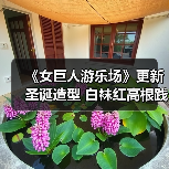 《女巨人游乐场》更新圣诞造型 白袜红高根践踏城市(图3) 《女巨人游乐场》更新圣诞造型 白袜红高根践踏城市(图3)