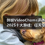 外媒VideoChums评选2025十大游戏：任天堂大获全胜（图4）