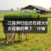 三角洲行动还在被大坝衣服里的黑卡“诈骗”？这几个露天刷卡点位一定要收藏