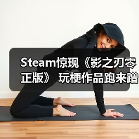 Steam惊现《影之刃零正版》 玩梗作品跑来蹭热度（图4）