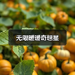无限暖暖奇想星（图4）