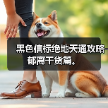 黑色信标绝地天通攻略-郁离干货篇。