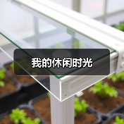 我的休闲时光（图3）