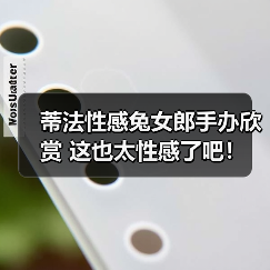 蒂法性感兔女郎手办欣赏 这也太性感了吧！