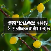 博德3粉丝希望《神界》系列同伴更有用 别只当陪衬！