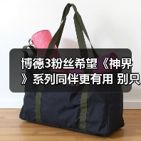 博德3粉丝希望《神界》系列同伴更有用 别只当陪衬！（图3）