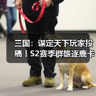三国：谋定天下玩家投稿丨S2赛季群雄逐鹿卡包分析