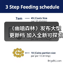 《幽暗森林》发布大型更新档 加入全新可探索区域（图4）