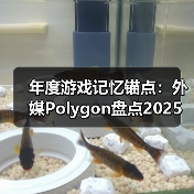 年度游戏记忆锚点：外媒Polygon盘点2025最佳Boss战（图3）