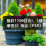 售价1100日元！《健身拳击3》推出《P5R》联动音乐包！