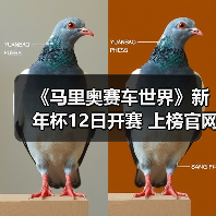 《马里奥赛车世界》新年杯12日开赛 上榜官网扬名立万（图2）