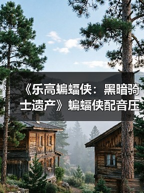 《乐高蝙蝠侠：黑暗骑士遗产》蝙蝠侠配音压力很大