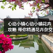 心动小镇心动小镇花卉攻略 带你精通花卉杂交(图3) 心动小镇心动小镇花卉攻略 带你精通花卉杂交(图3)