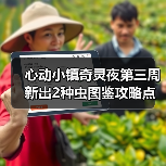心动小镇奇灵夜第三周新出2种虫图鉴攻略点位图价格
