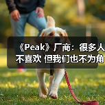 《Peak》厂商：很多人不喜欢 但我们也不为角逐大奖