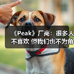 《Peak》厂商:很多人不喜欢 但我们也不为角逐大奖(图2) 《Peak》厂商:很多人不喜欢 但我们也不为角逐大奖(图2)