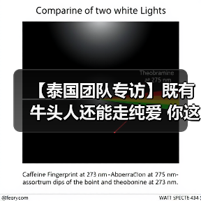 【泰国团队专访】既有牛头人还能走纯爱 你这个战棋游戏正不正经？