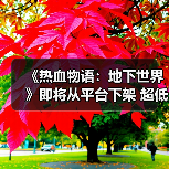 《热血物语：地下世界》即将从平台下架 超低价促销中（图3）