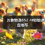 万象物语852 4t初始魂盘推荐