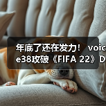 年底了还在发力！ voice38攻破《FIFA 22》D加密（图4）