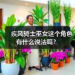 疾风骑士巫女这个角色有什么说法吗？