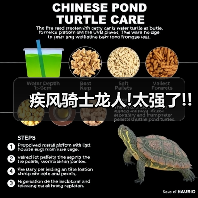 疾风骑士龙人!太强了!!