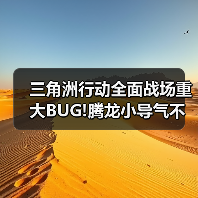 三角洲行动全面战场重大BUG!腾龙小导气不加射程！