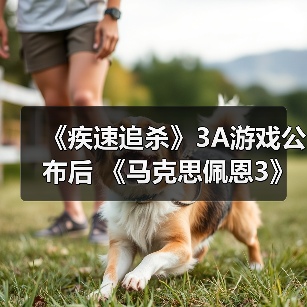 《疾速追杀》3A游戏公布后 《马克思佩恩3》疾速追杀MOD火了