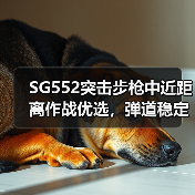 SG552突击步枪中近距离作战优选，弹道稳定高射速