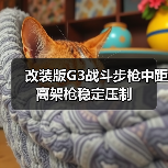 改装版G3战斗步枪中距离架枪稳定压制(图2) 改装版G3战斗步枪中距离架枪稳定压制(图2)