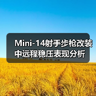 Mini-14射手步枪改装中远程稳压表现分析