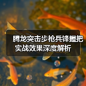 腾龙突击步枪兵锋握把实战效果深度解析(图4) 腾龙突击步枪兵锋握把实战效果深度解析(图4)