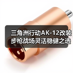 三角洲行动AK-12改装步枪战场灵活稳健之选