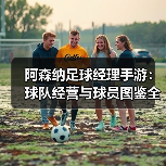 阿森纳足球经理手游:球队经营与球员图鉴全解析(图4) 阿森纳足球经理手游:球队经营与球员图鉴全解析(图4)