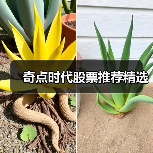 奇点时代股票推荐精选（图2）