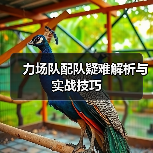力场队配队疑难解析与实战技巧（图4）