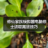 修仙家族模拟器电脑修士抓取高效技巧（图4）