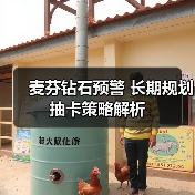 麦芬钻石预警 长期规划抽卡策略解析