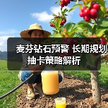 麦芬钻石预警 长期规划抽卡策略解析（图2）