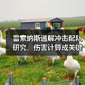 雷索纳斯通解冲击配队研究，伤害计算成关键？