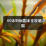 80本奶妈副本全攻略详解（图4）